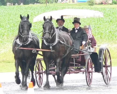 Horses pulling a carriage